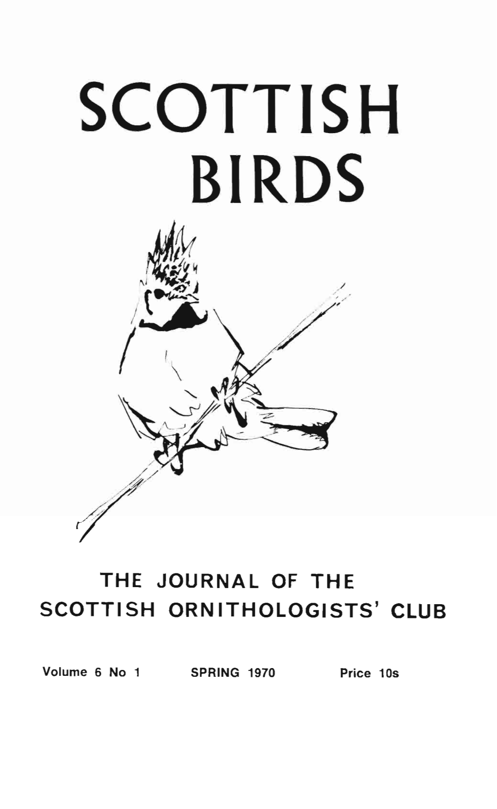 SCOTTISH BIRDS .J.J~ ,Rta~J / /~ / / ! I ,~ '::1/ ' ~~~