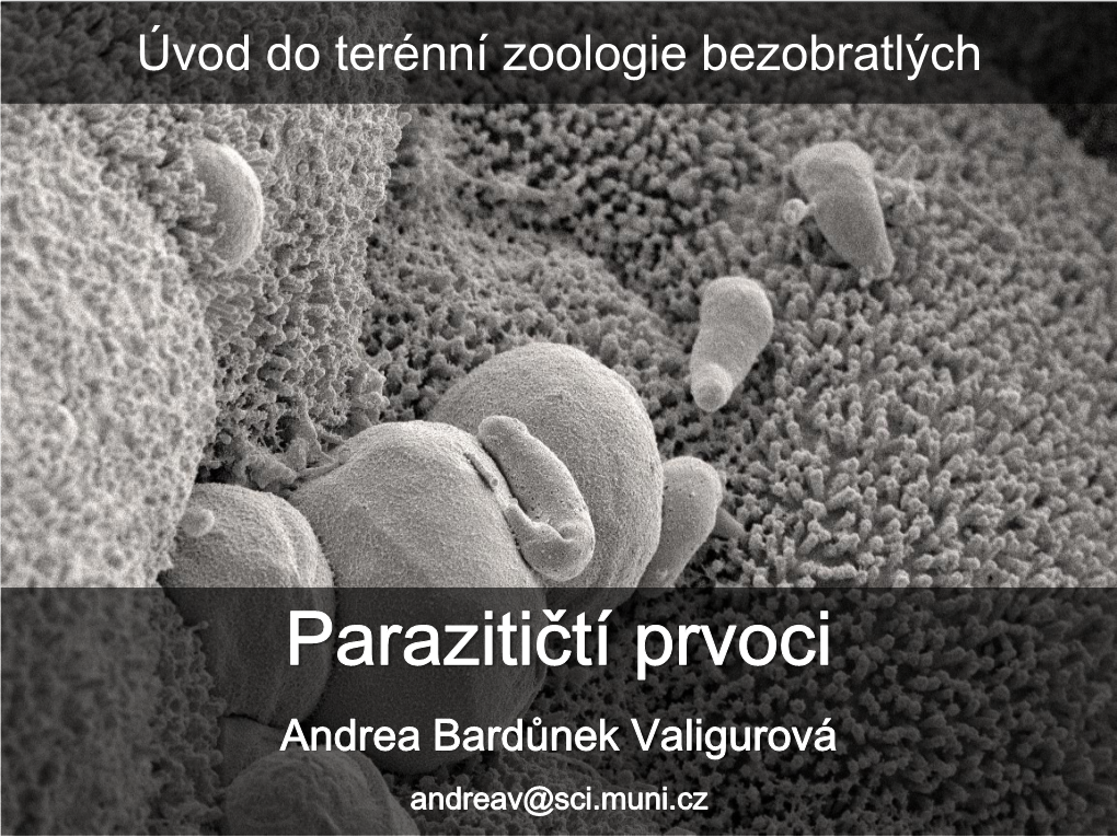 Úvod Do Terénní Zoologie Bezobratlých