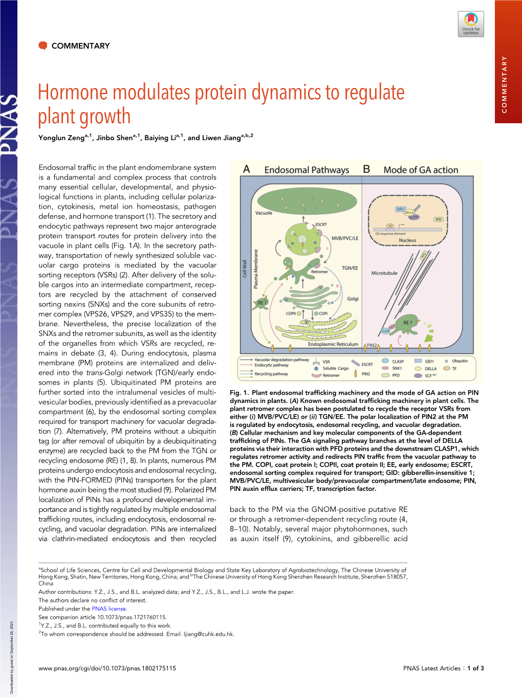 Hormone Modulates Protein Dynamics to Regulate Plant Growth COMMENTARY Yonglun Zenga,1, Jinbo Shena,1, Baiying Lia,1, and Liwen Jianga,B,2