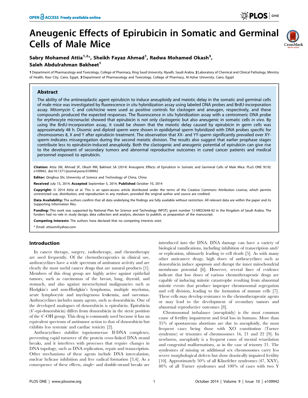 Aneugenic Effects of Epirubicin in Somatic and Germinal Cells of Male Mice