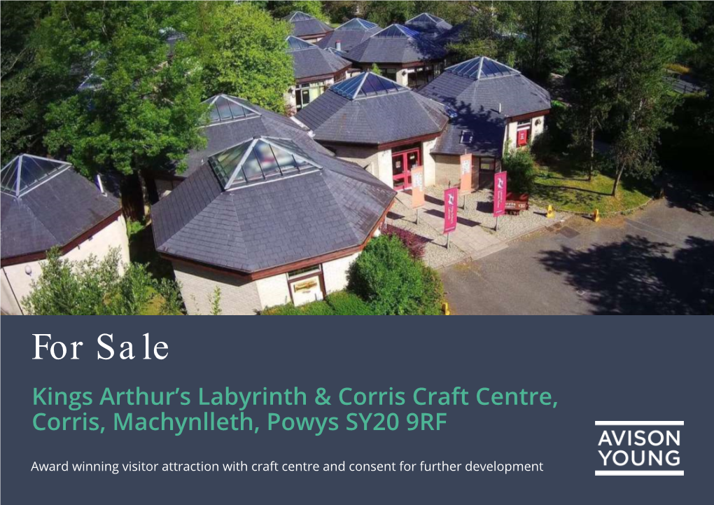 For Sale Kings Arthur's Labyrinth & Corris Craft Centre, Corris