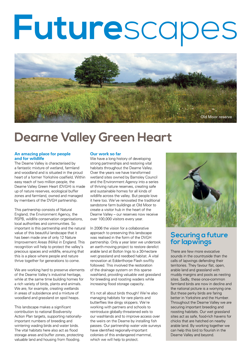 Dearne Valley Green Heart