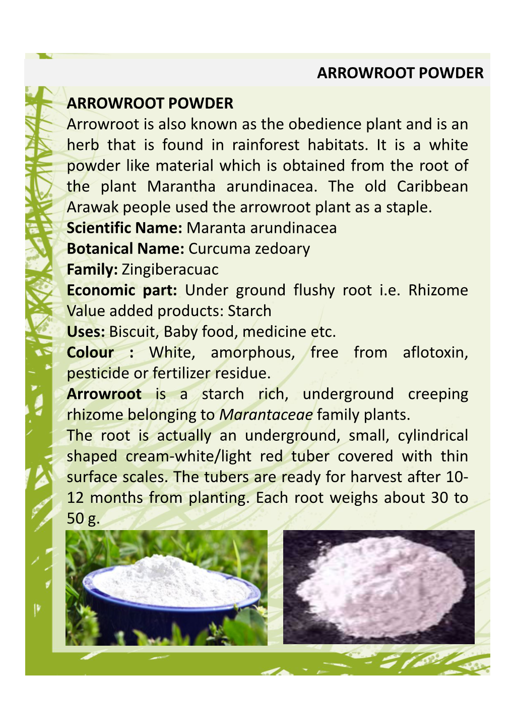 ARROWROOT POWDER ARROWROOT POWDER Arrowroot Is Also Known As the Obedience Plant and Is an Herb That Is Found in Rainforest Habitats