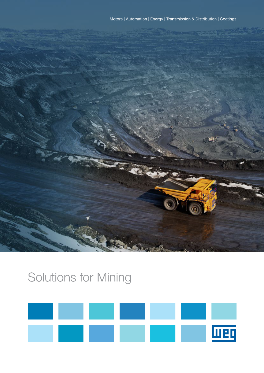 Solutions for Mining the WEG Group