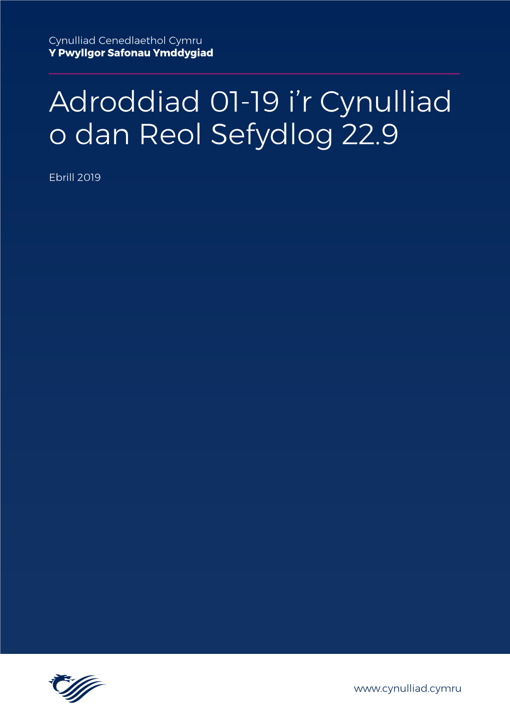 Adroddiad 01-19 I'r Cynulliad O Dan Reol Sefydlog 22.9