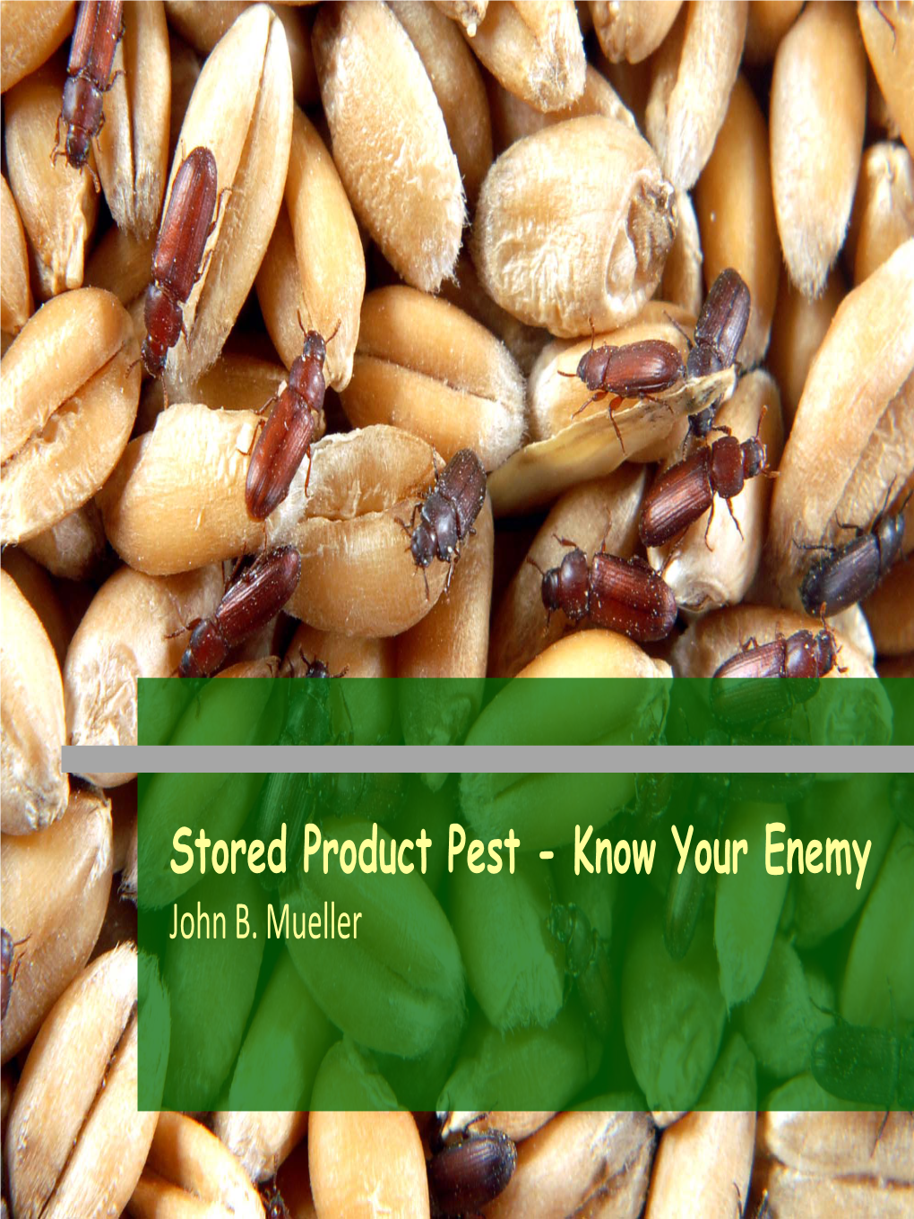 Stored Product Pest - Know Your Enemy John B