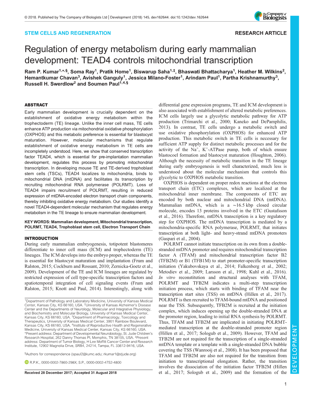 TEAD4 Controls Mitochondrial Transcription Ram P