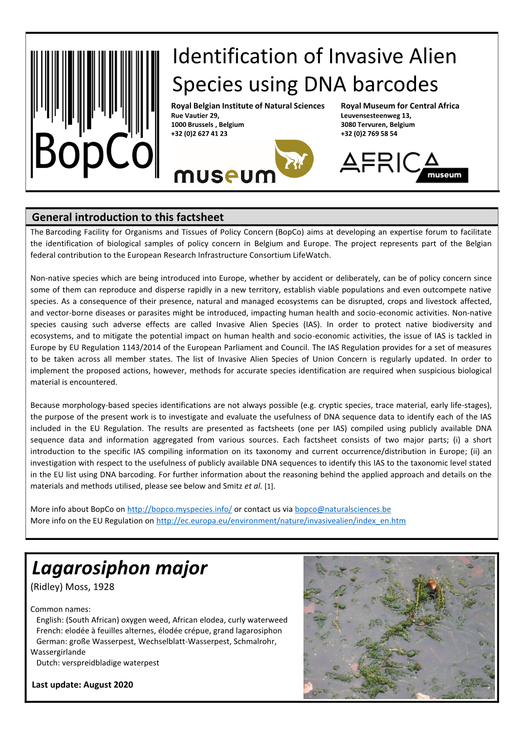 Identification of Invasive Alien Species Using DNA Barcodes