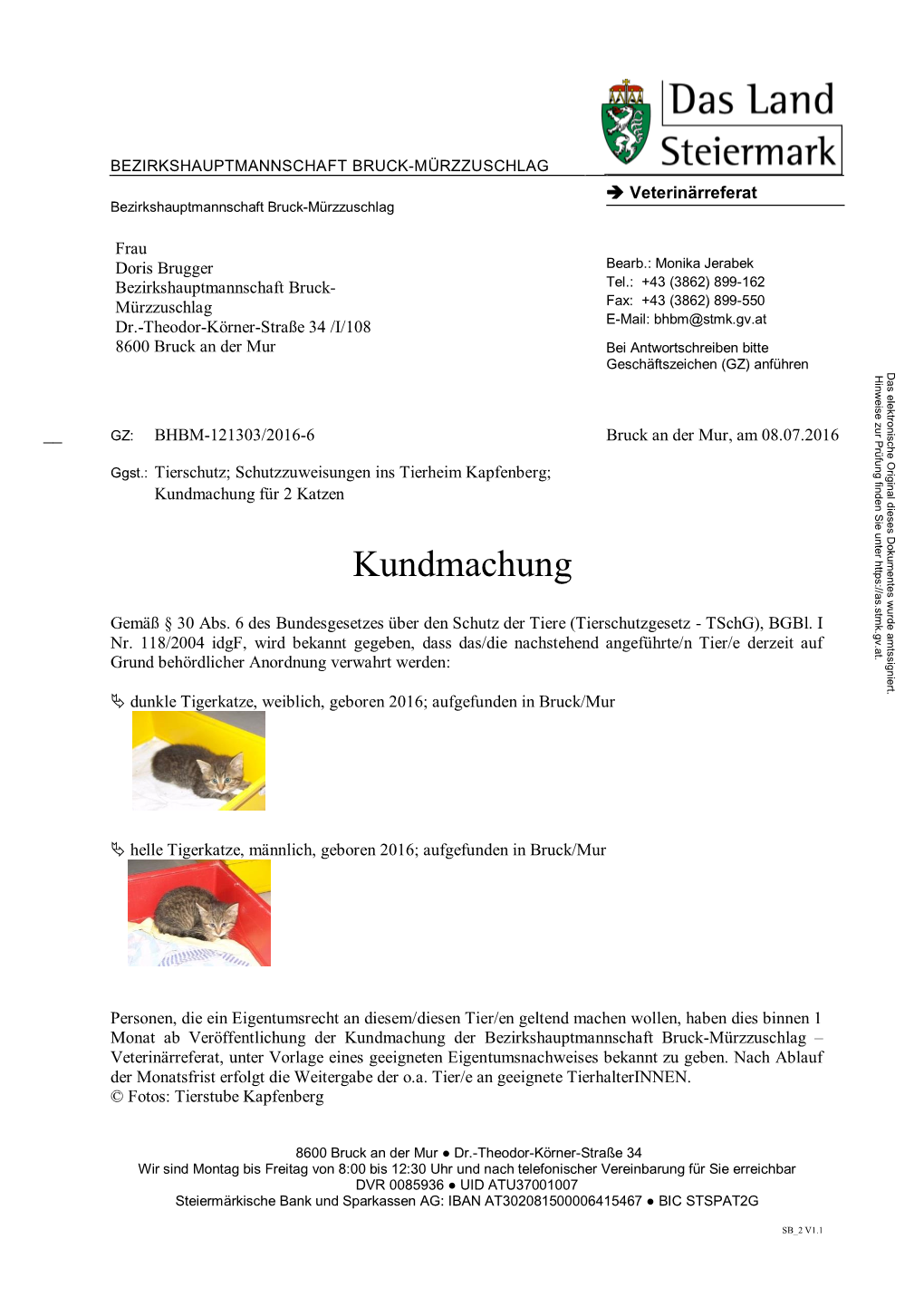 Kundmachung Für 2 Katzen