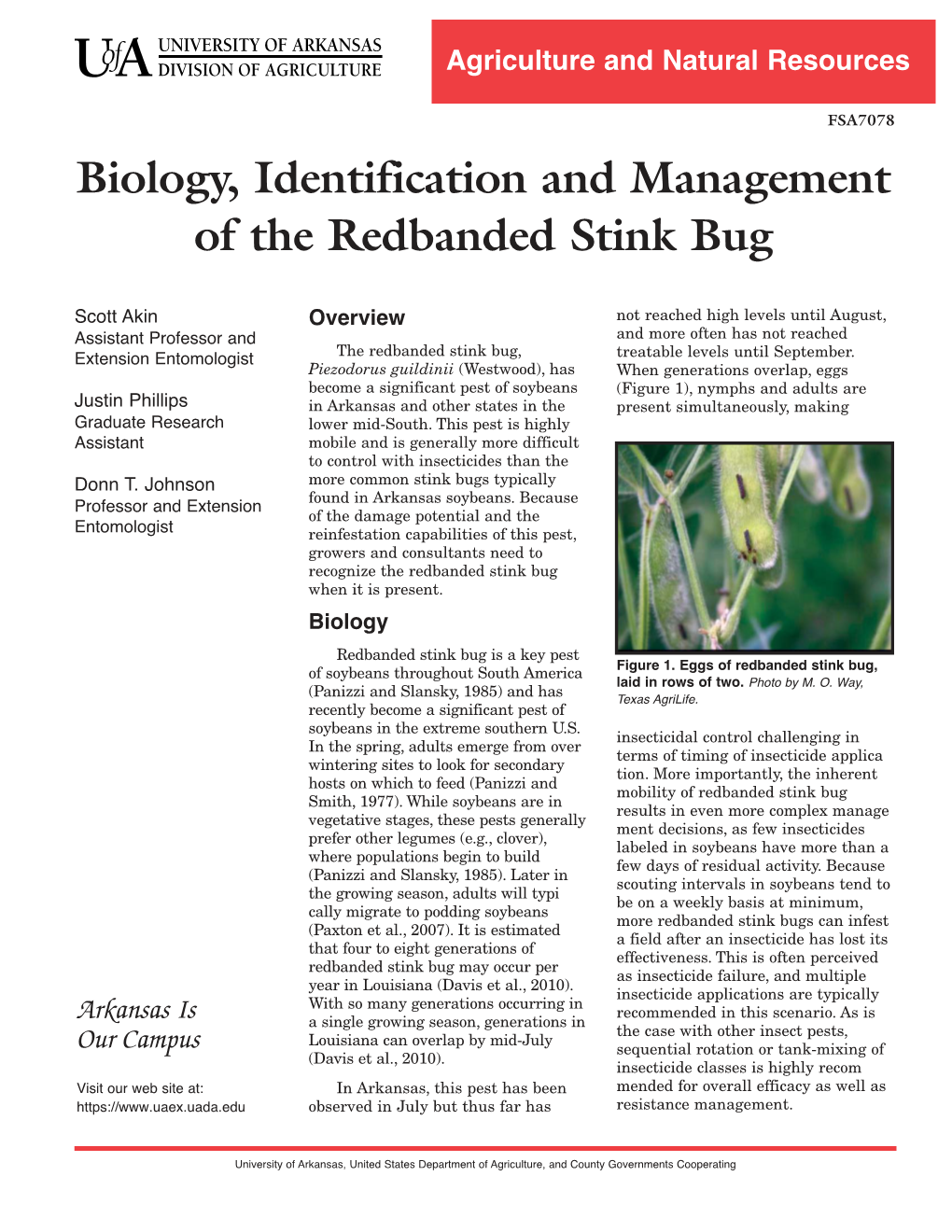 Biology, Identification and Management of the Redbanded Stink Bug