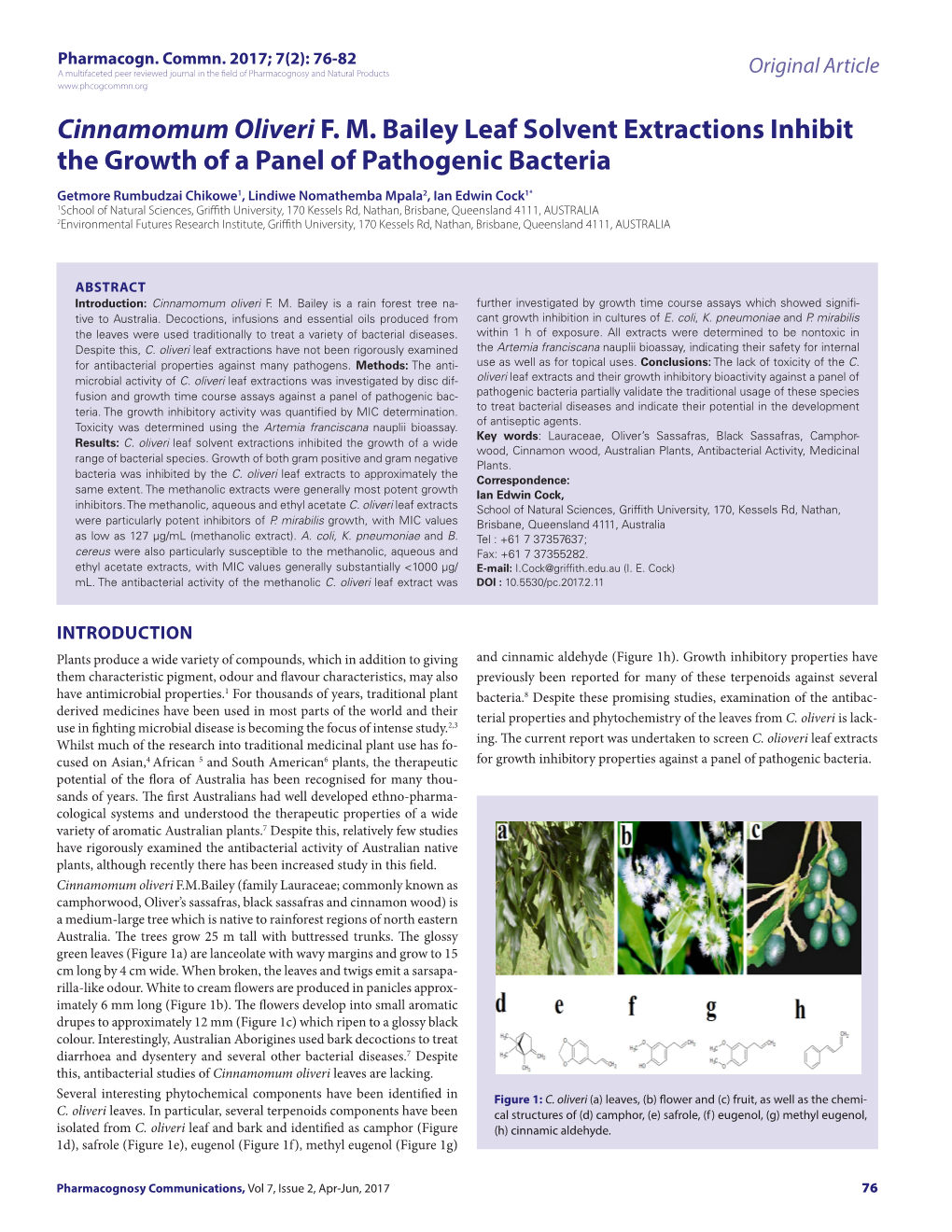 Cinnamomum Oliveri F. M. Bailey Leaf Solvent Extractions Inhibit The