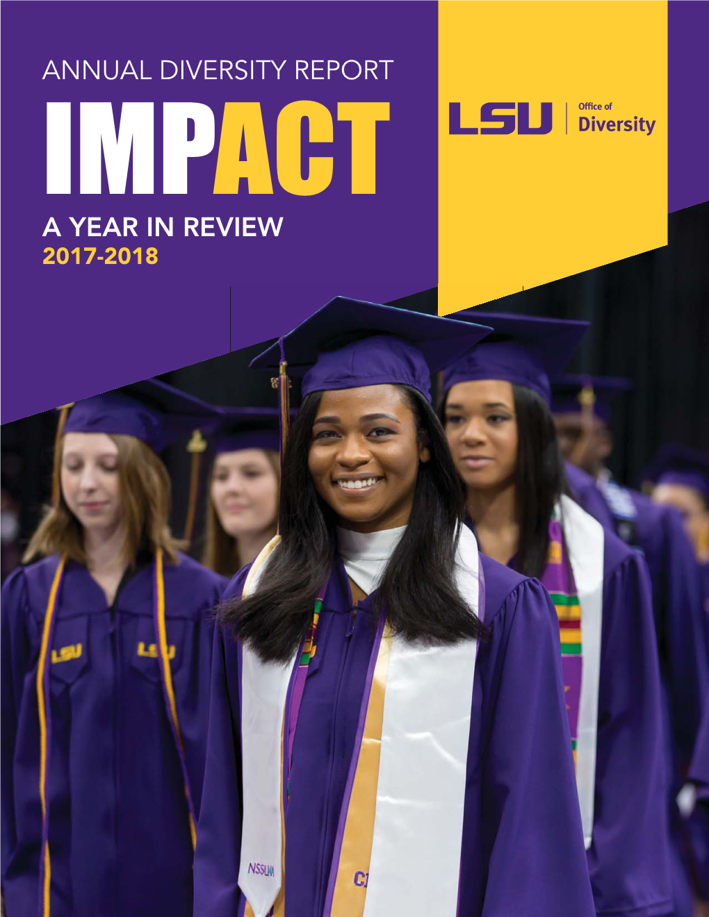 2017-2018 Annual Diversity Impact Report