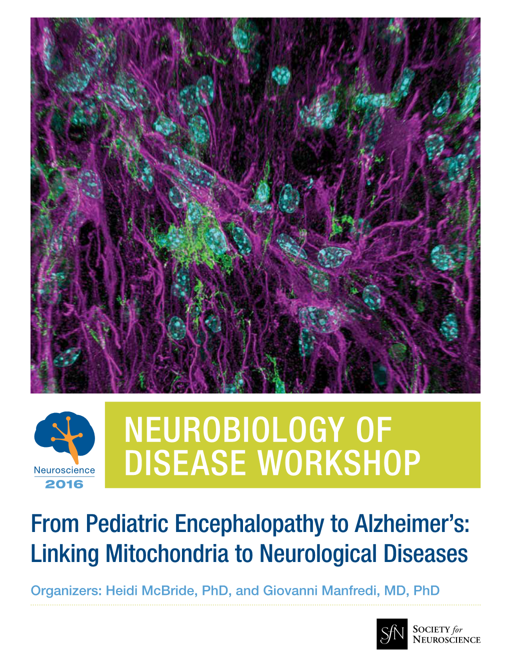 Linking Mitochondria to Neurological Diseases