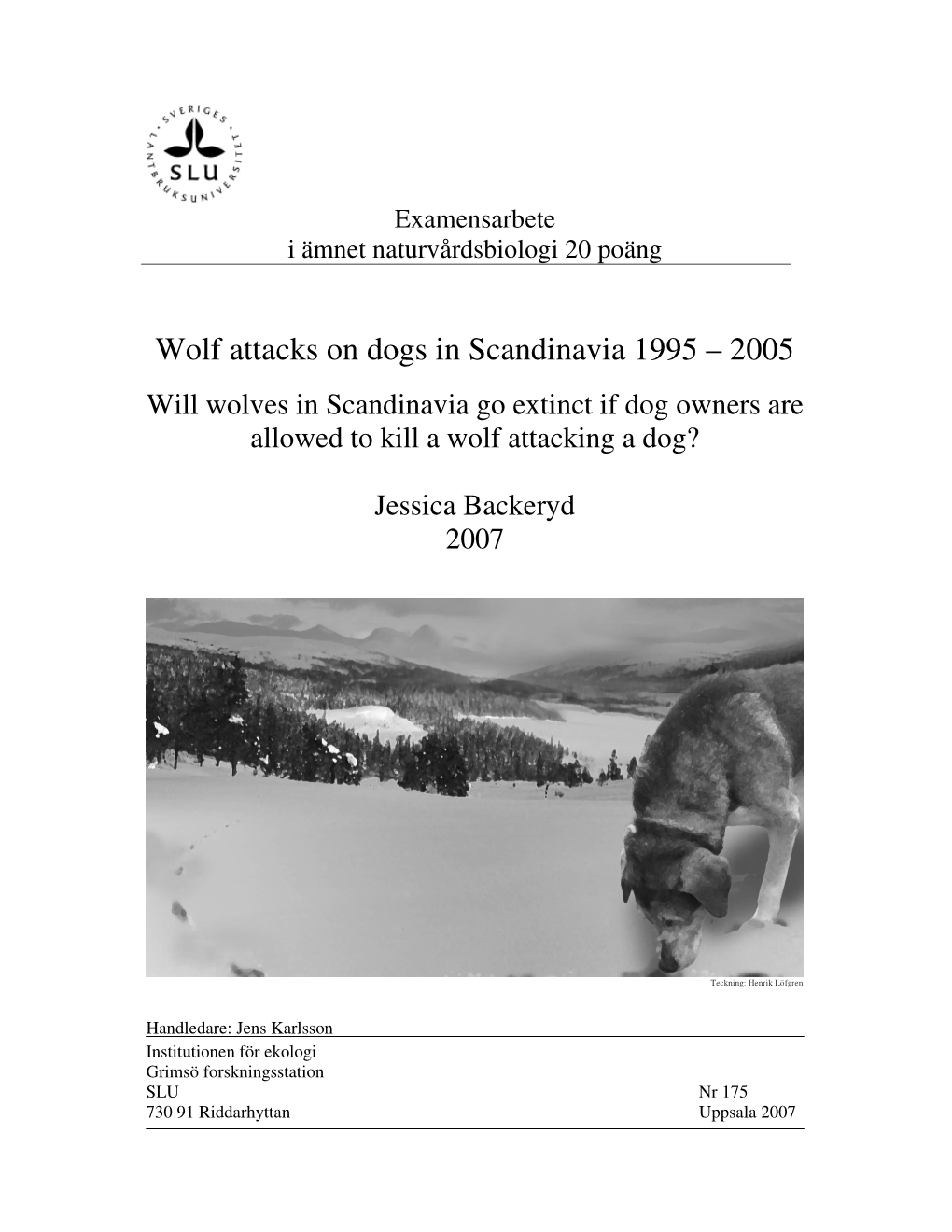 Wolf Attacks on Dogs in Scandinavia 1995 – 2005