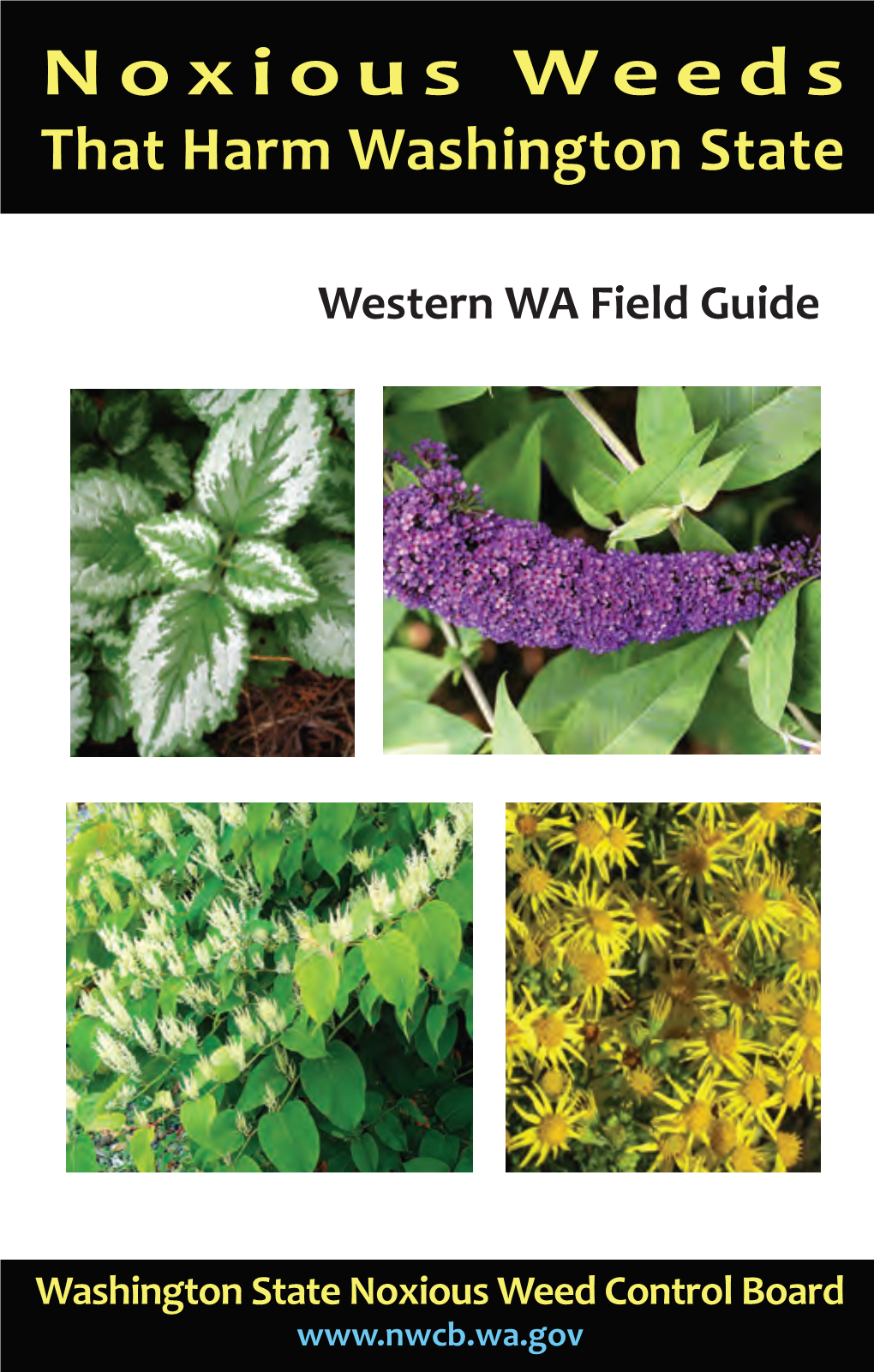 Western WA Field Guide