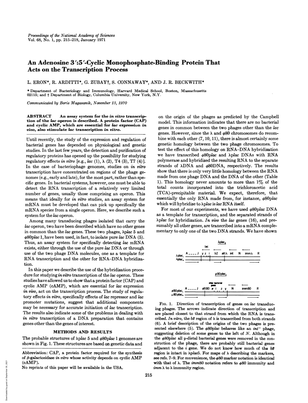 Acts on the Transcription Process