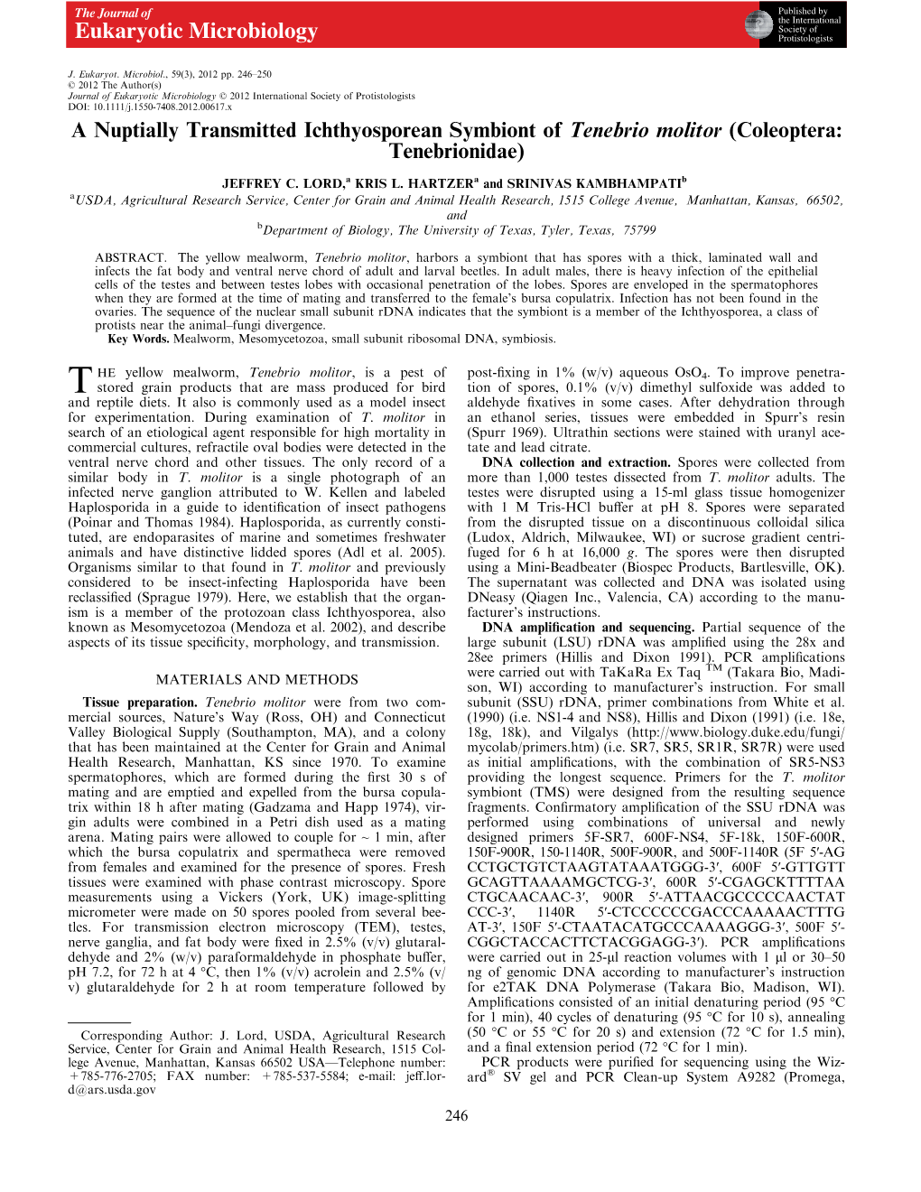 A Nuptially Transmitted Ichthyosporean Symbiont of Tenebrio Molitor (Coleoptera: Tenebrionidae)