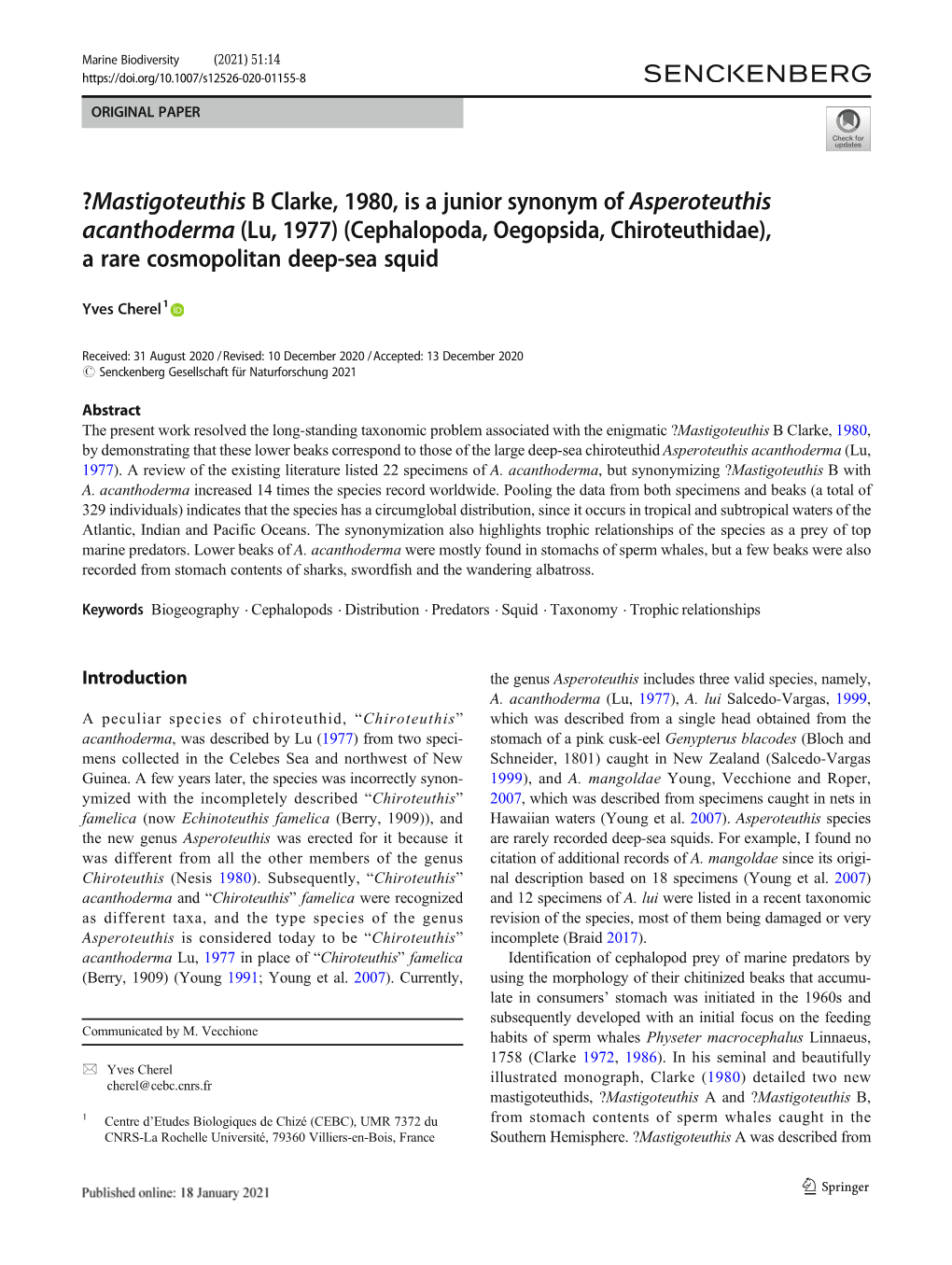 ?Mastigoteuthis B Clarke, 1980, Is a Junior Synonym of Asperoteuthis