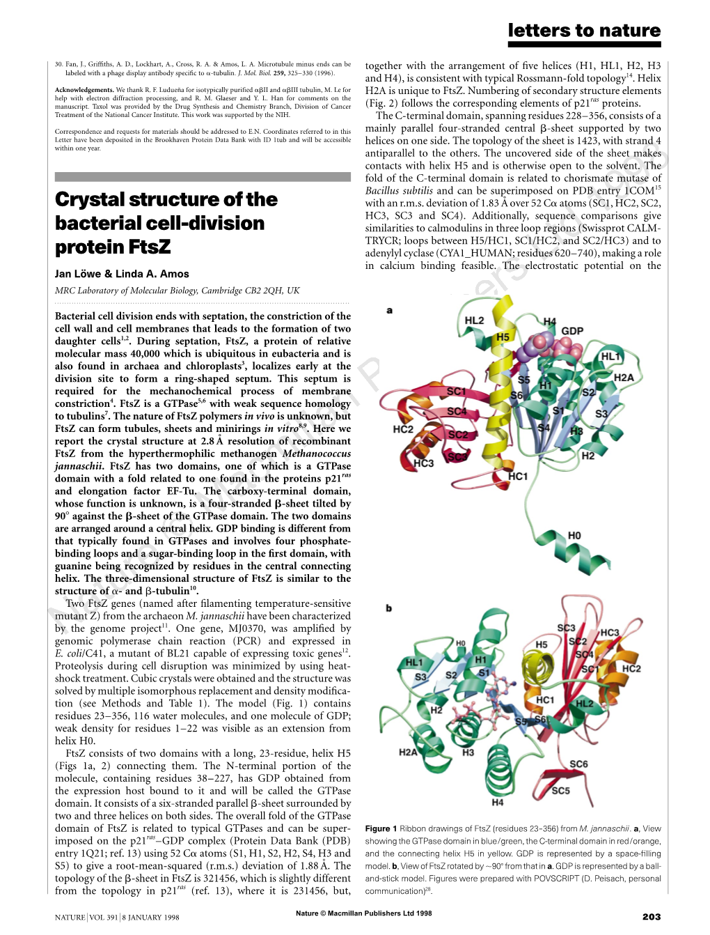 "Crystal Structure of the Bacterial Cell-Division Protein Ftsz", Nature