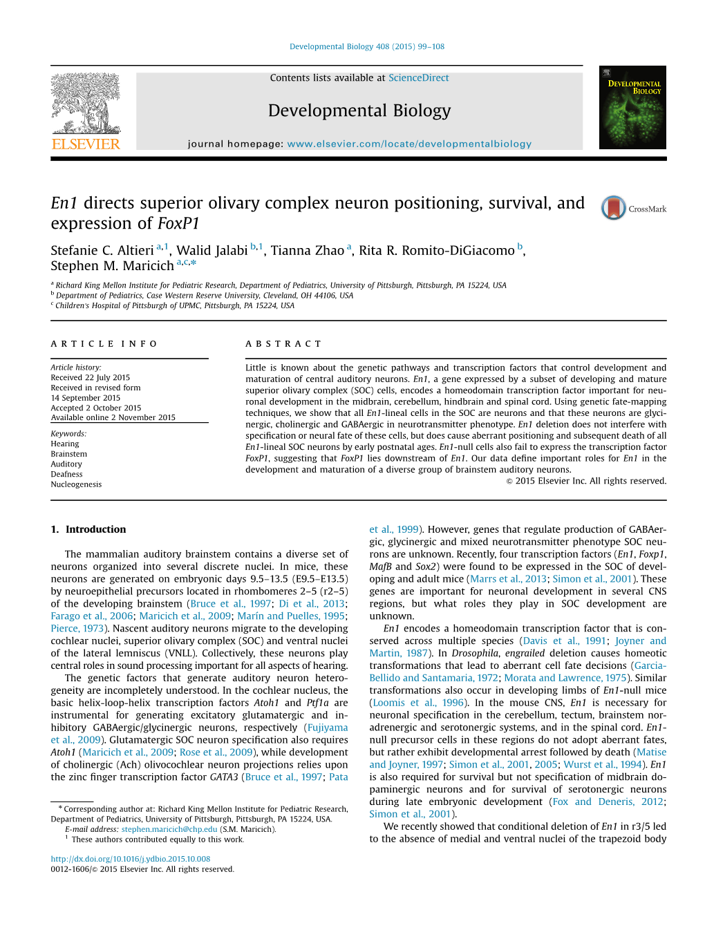 En1 Directs Superior Olivary Complex Neuron Positioning, Survival, and Expression of Foxp1