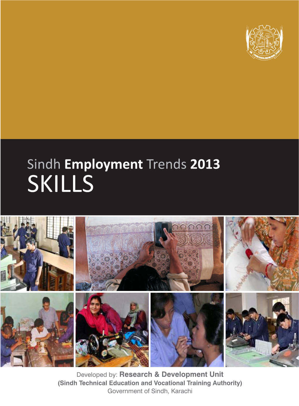 Sindh Employment Trends 2013 SKILLS