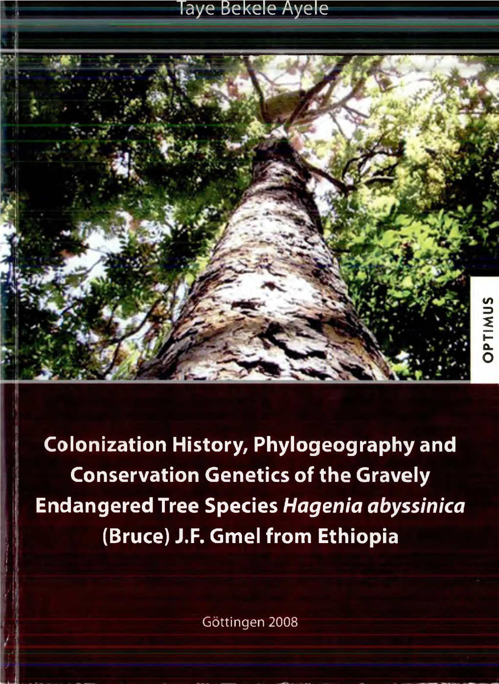 Colonization History, Phylogeography and Conservation Genetics of the Gravely Endangered Tree Species Hagenia Abyssinica (Bruce) J.F