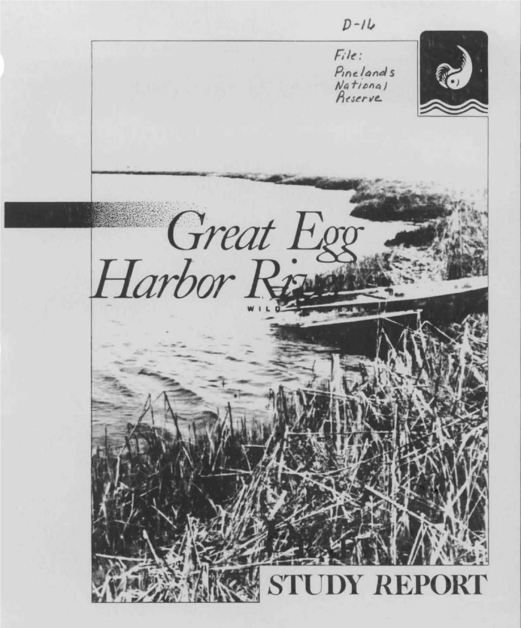 Great Egg Harbor River Study Report, New Jersey