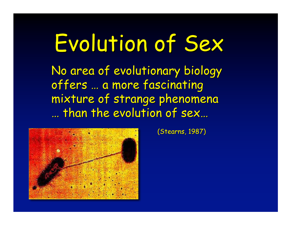 3. Evolution Of