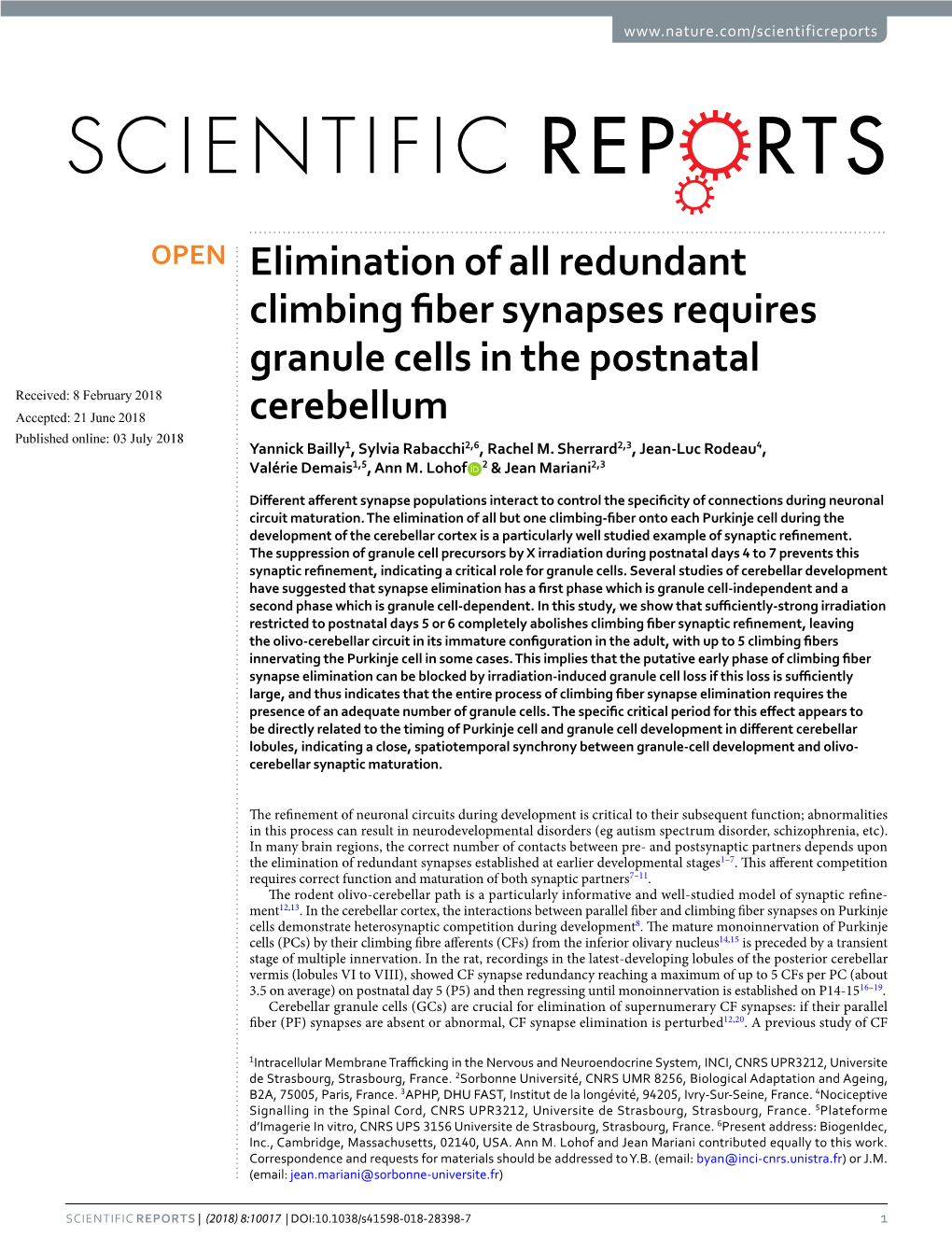 Elimination of All Redundant Climbing Fiber Synapses Requires Granule