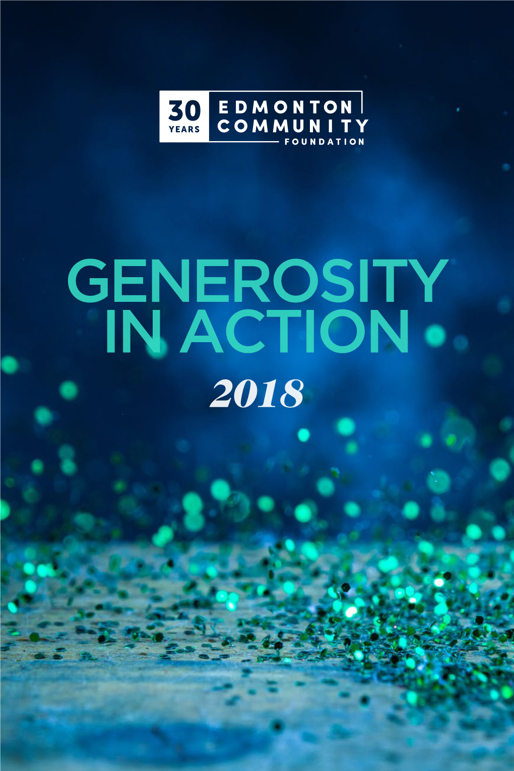 Generosity in Action 2018