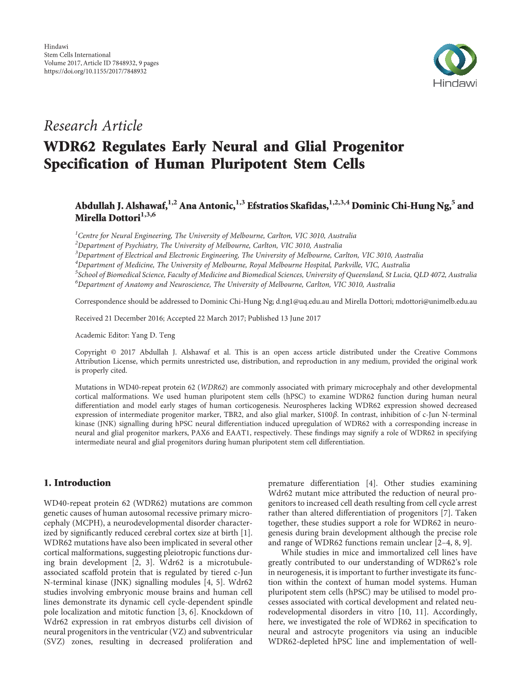 WDR62 Regulates Early Neural and Glial Progenitor Specification of Human Pluripotent Stem Cells