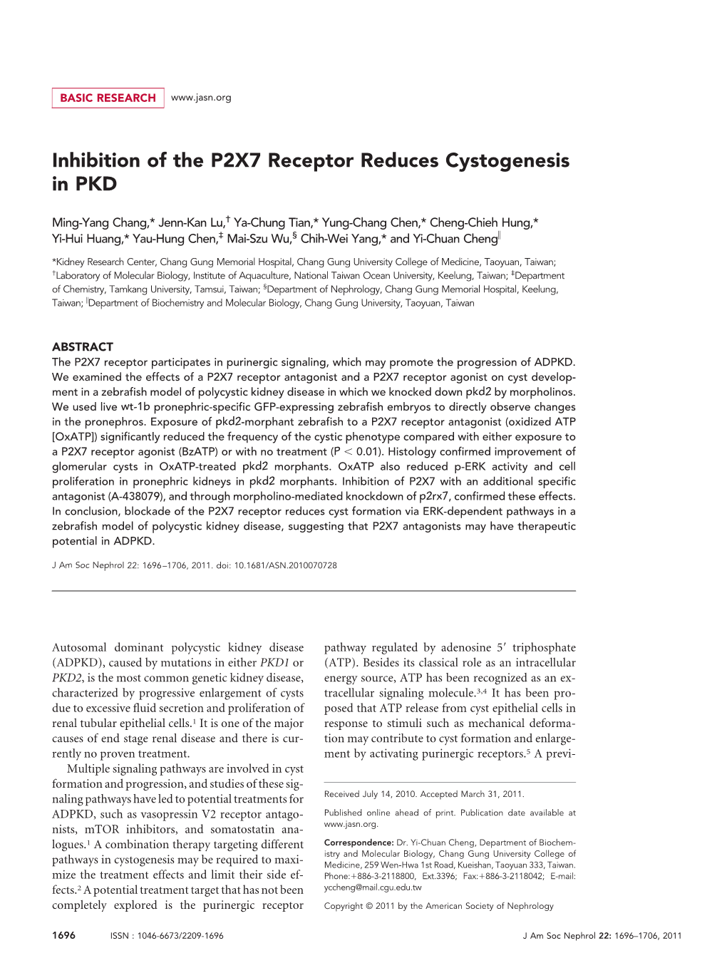 Inhibition of the P2X7 Receptor Reduces Cystogenesis in PKD
