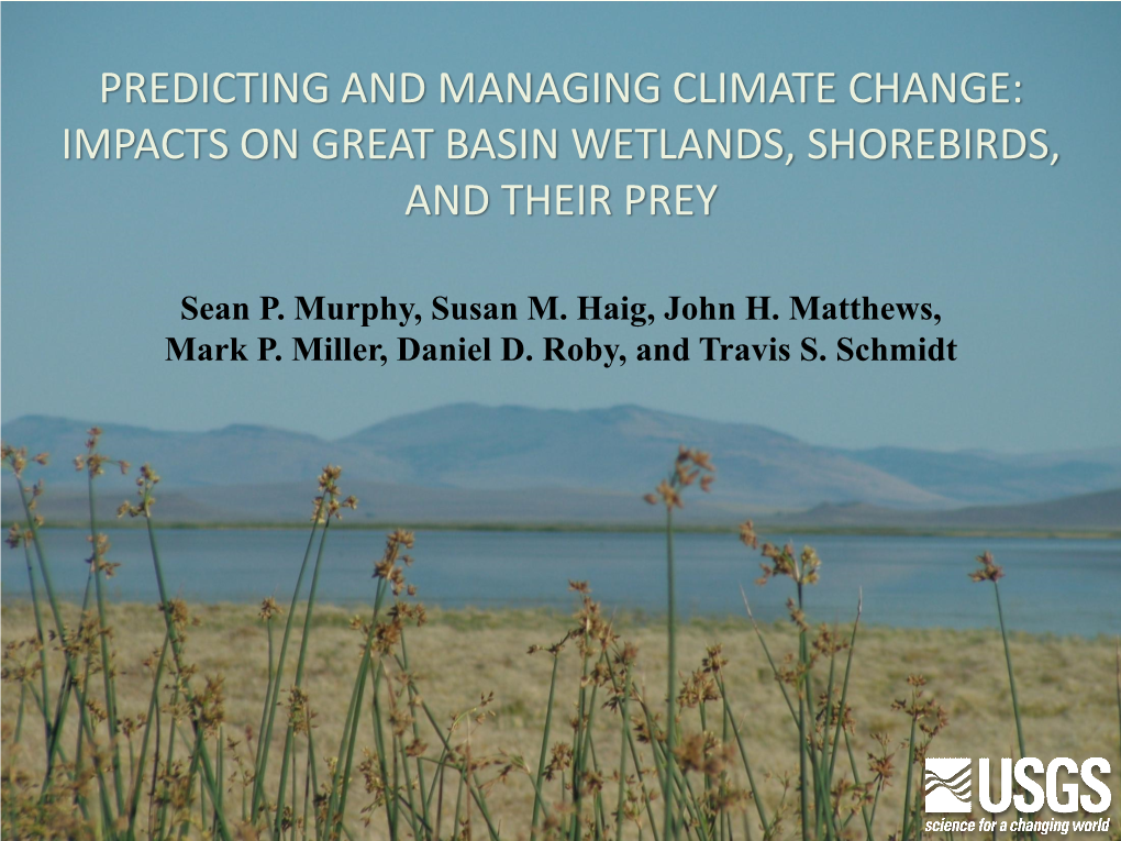 Predicting and Managing Climate Change: Impacts on Great Basin Wetlands, Shorebirds, and Their Prey