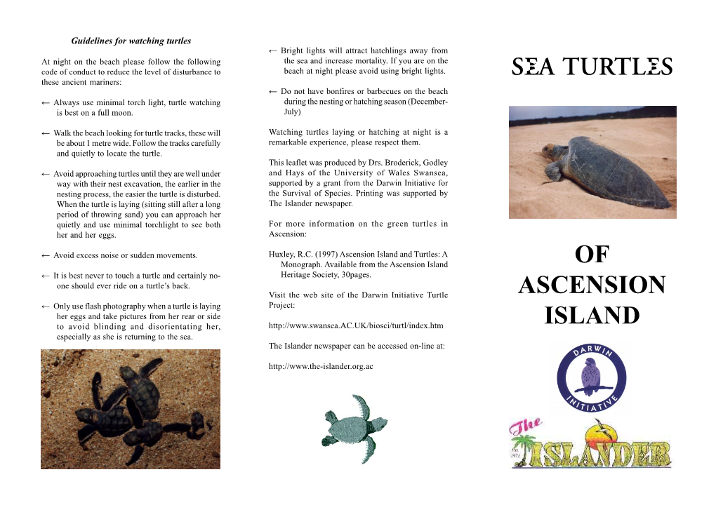 Sea Turtles of Ascension Island