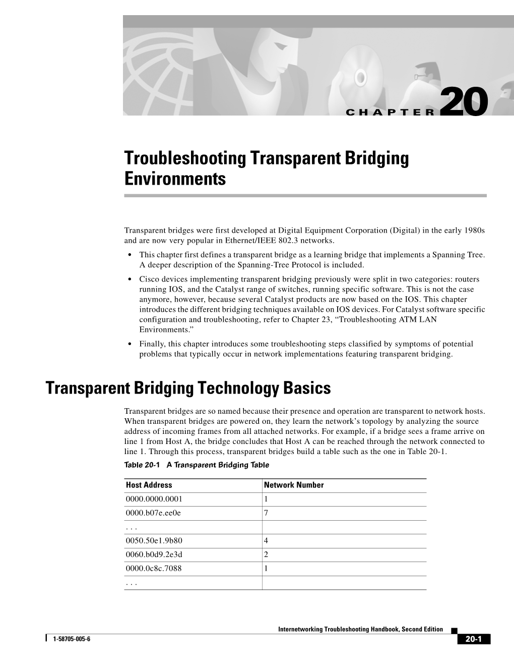 Troubleshooting Transparent Bridging Environments