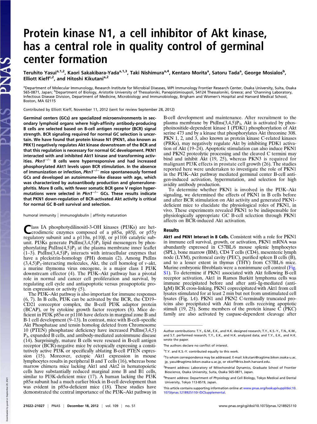 Protein Kinase N1, a Cell Inhibitor of Akt Kinase, Has a Central Role in Quality Control of Germinal Center Formation