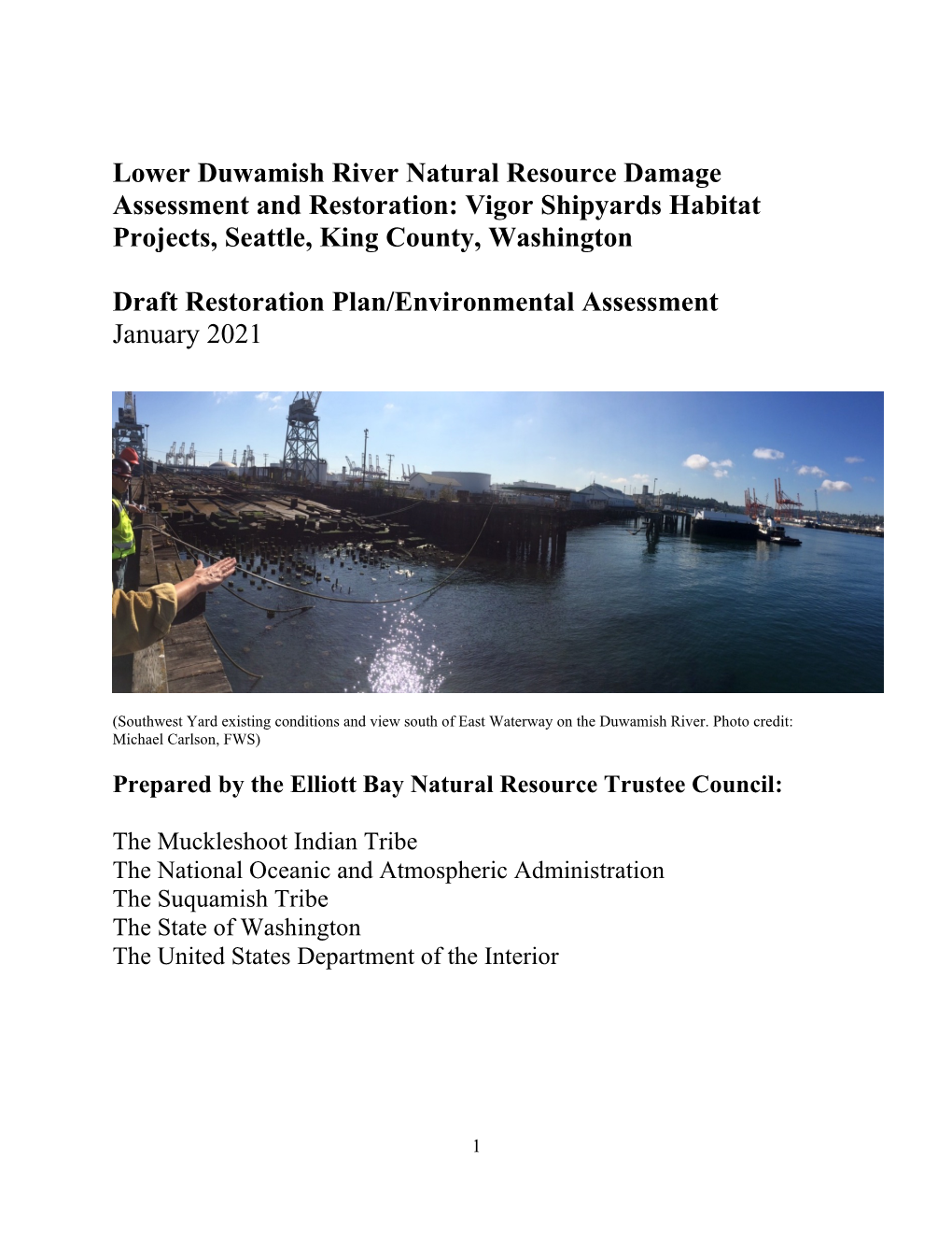 Lower Duwamish River Natural Resource Damage Assessment and Restoration: Vigor Shipyards Habitat Projects, Seattle, King County, Washington
