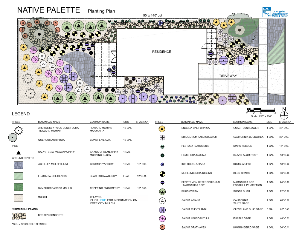 NATIVE PALETTE Planting Plan 50' X 140' Lot