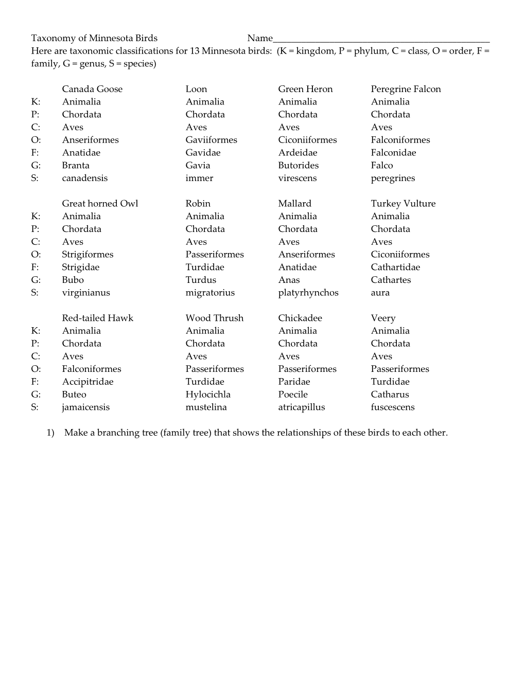 Taxonomy of Minnesota Birds Name___Here Are Taxonomic Classifications for 13 Minneso