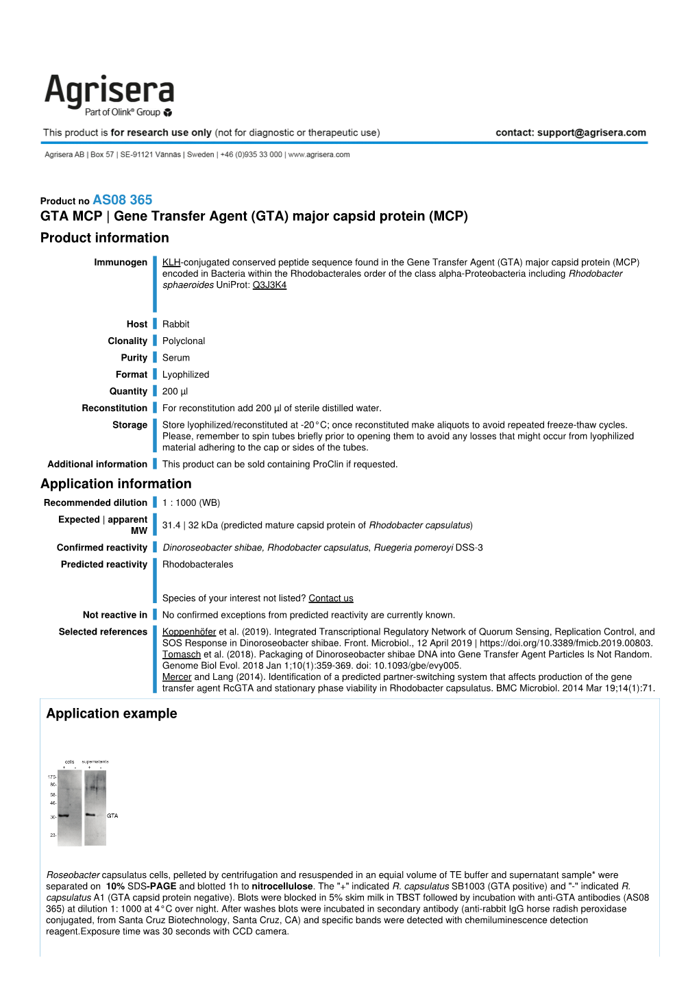 Gene Transfer Agent (GTA) Major Capsid Protein (MCP) Product Information