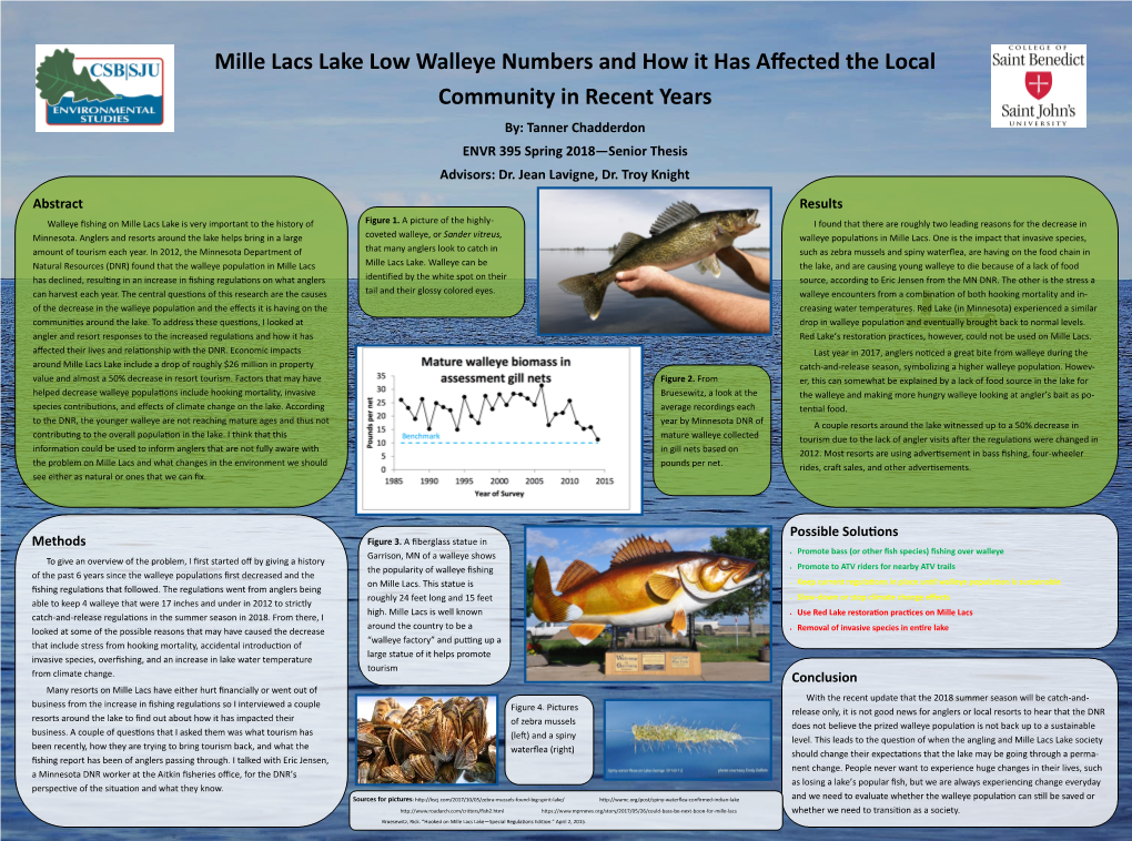 Mille Lacs Low Walleye Numbers and How It Has Affected the Local