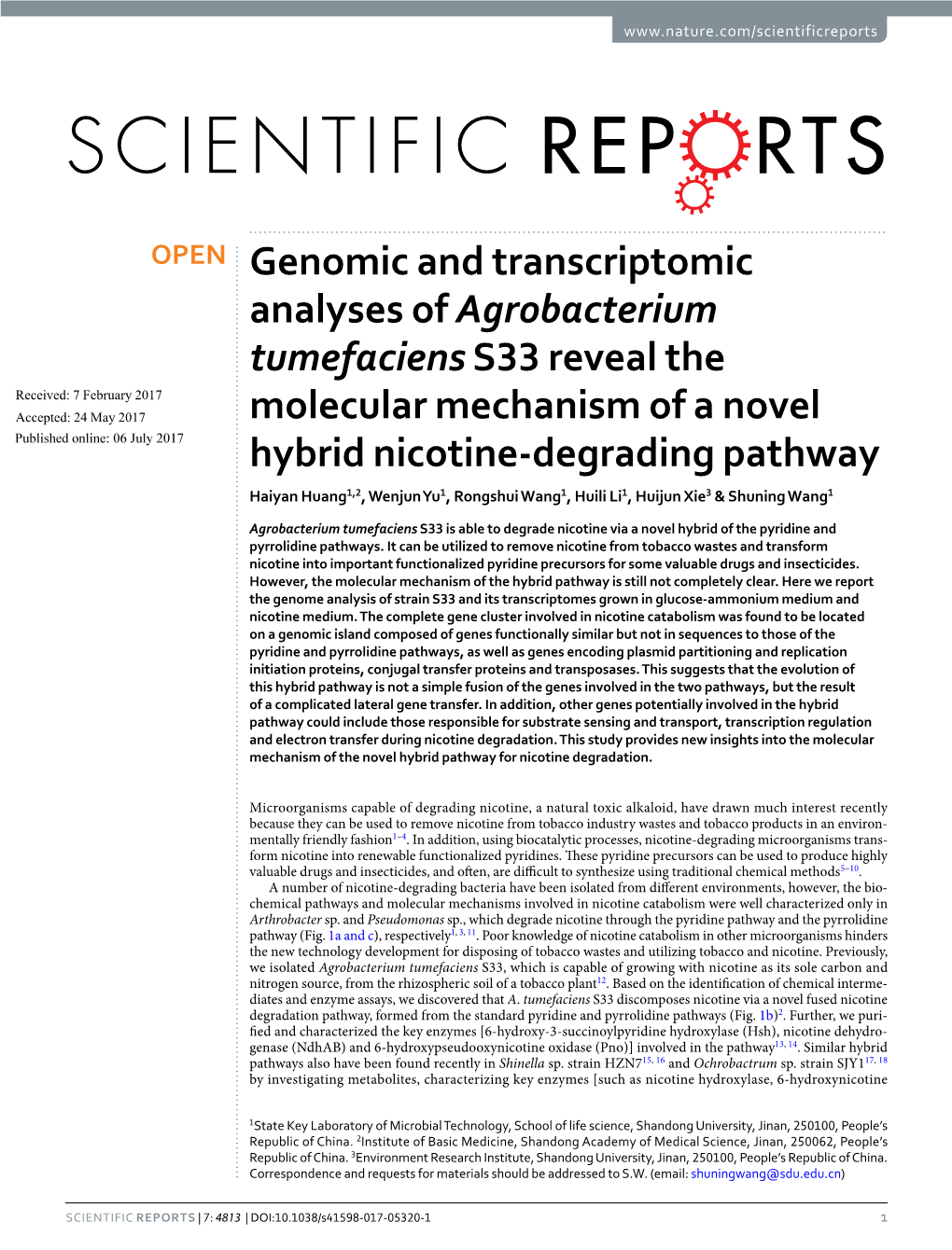 Genomic and Transcriptomic Analyses of Agrobacterium Tumefaciens S33