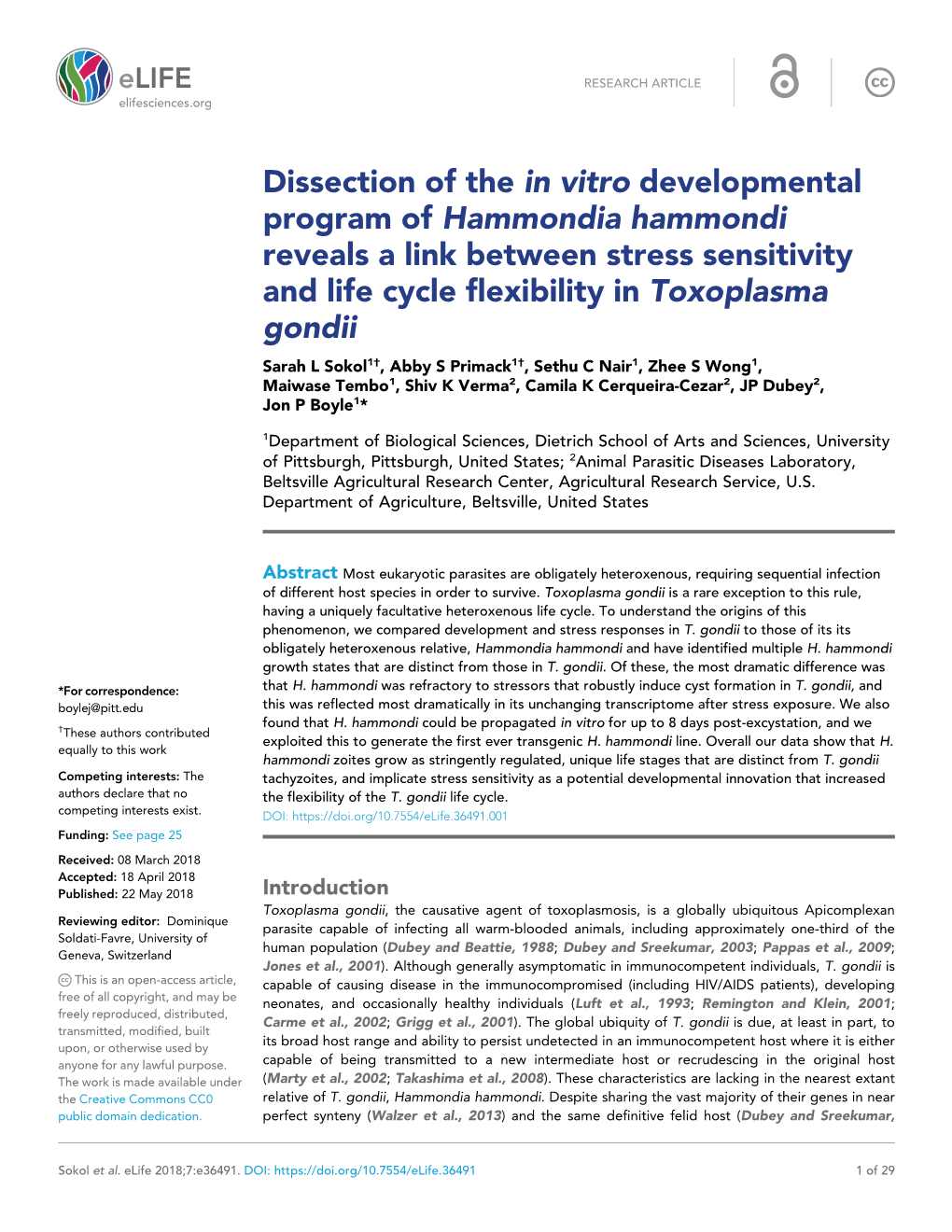 Dissection of the in Vitro Developmental Program Of