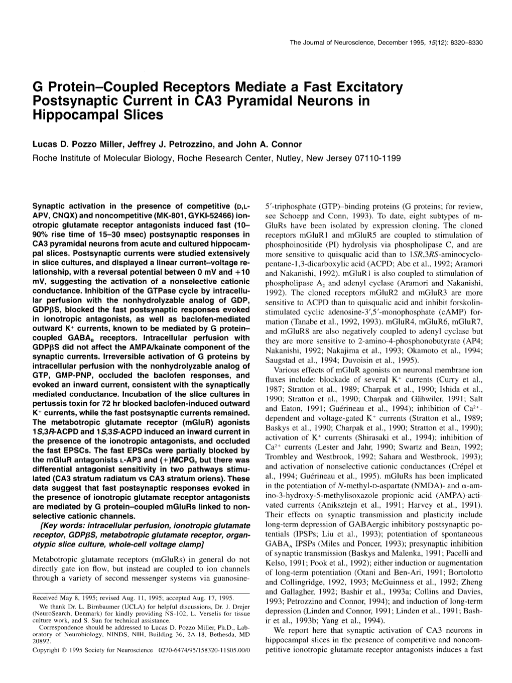 G Protein-Coupled Receptors Mediate a Fast Excitatory Postsynaptic Current in CA3 Pyramidal Neurons in Hippobanipal Slices