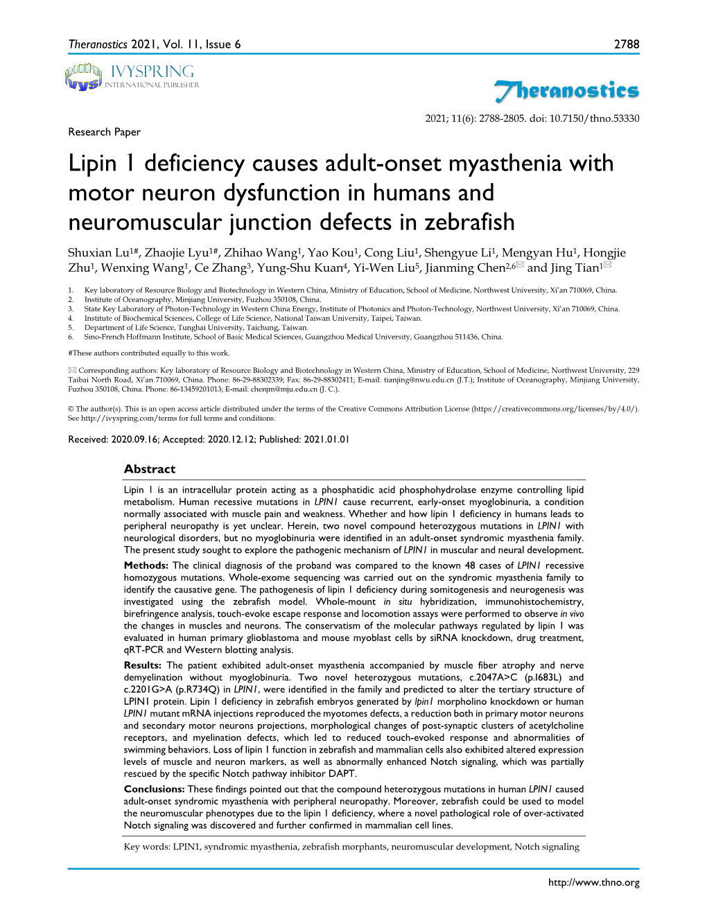 Theranostics Lipin 1 Deficiency Causes Adult-Onset Myasthenia With
