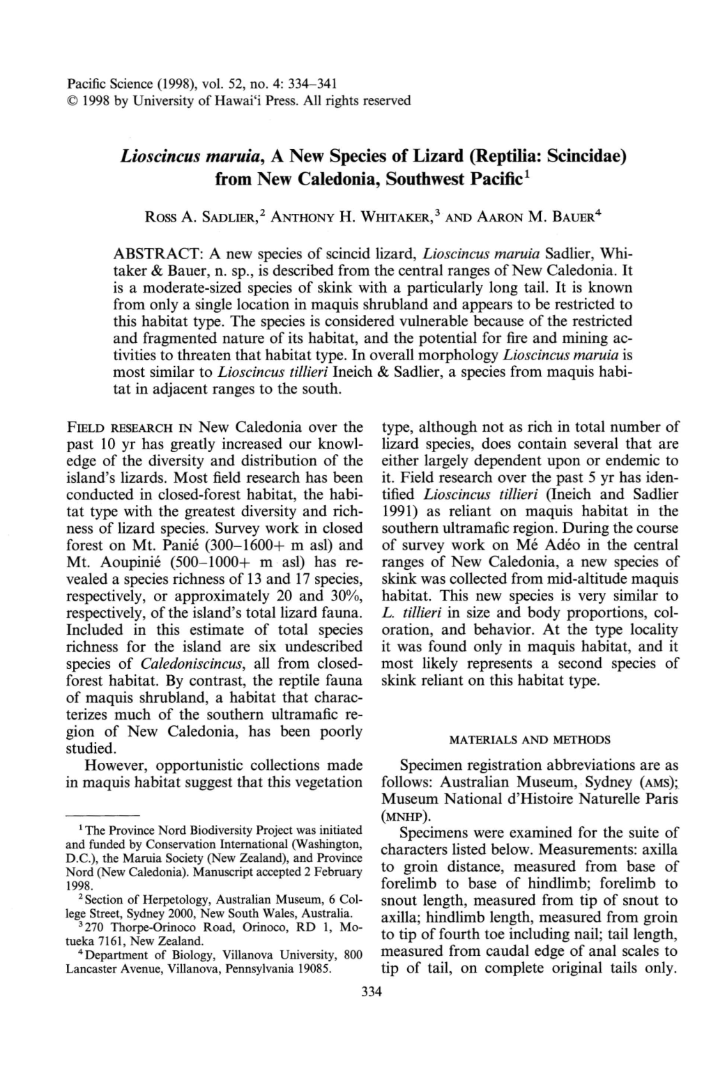 Lioscincus Maruia, a New Species of Lizard (Reptilia: Scincidae) from New Caledonia, Southwest Pacific L