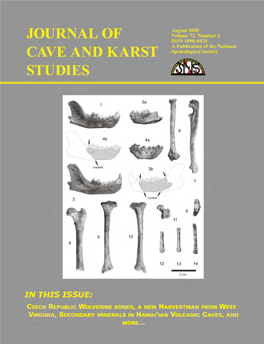 Coastal Caves in Bahamian Eolian Calcarenites: Differentiating Between Sea Caves and Flank Margin Caves Using Quantitative Morphology