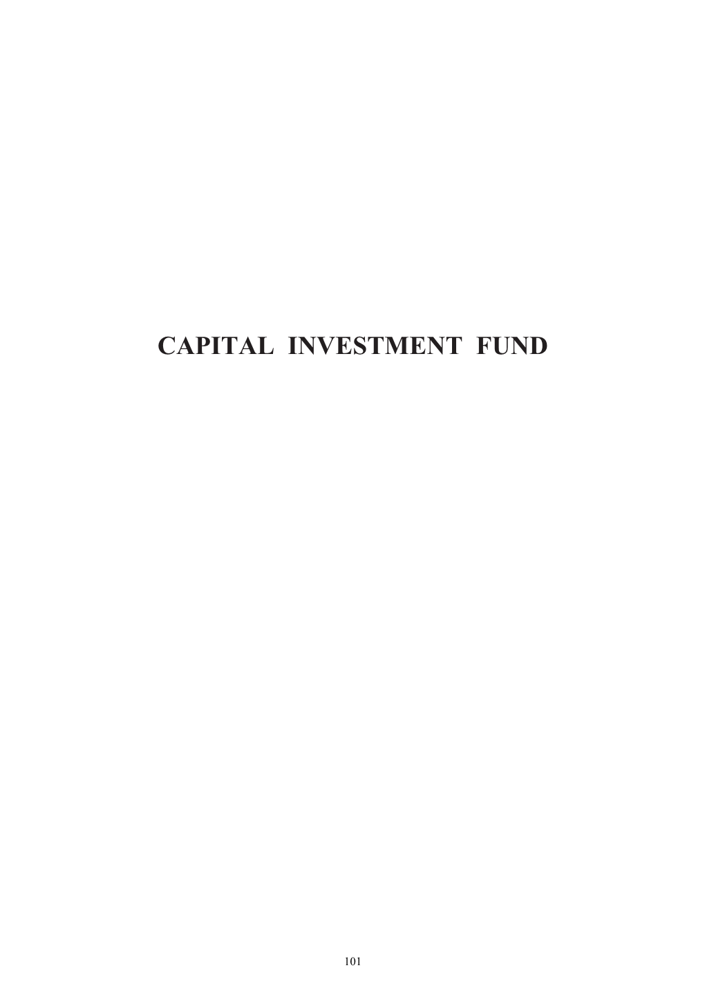 Capital Investment Fund