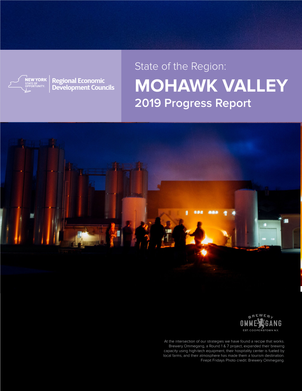 MOHAWK VALLEY 2019 Progress Report