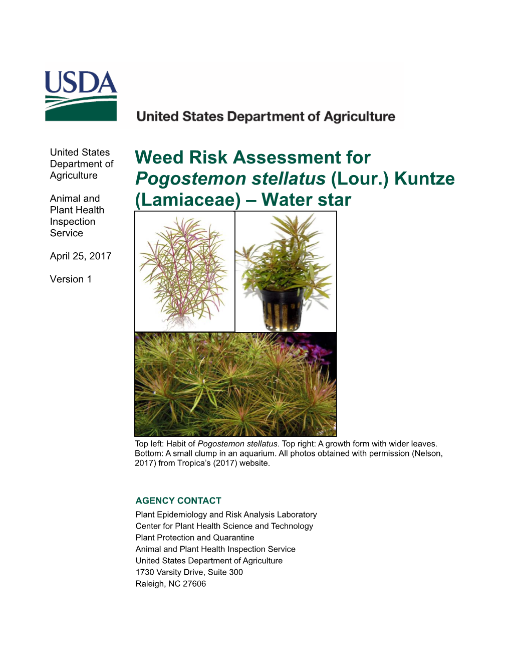 Pogostemon Stellatus (Lour.) Kuntze Animal and (Lamiaceae) – Water Star Plant Health Inspection Service